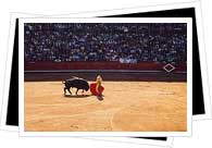 salamanca bullfight