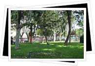 park