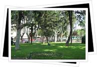 park